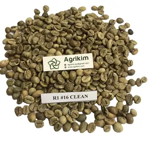 (무료 샘플) 100% 천연 신제품 2022 ROBUSTA 녹색 커피 콩-프리미엄 품질 최고의 가격 WHATSAPP + 84 326055616