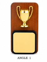 Plaques de reconnaissance en bois et métal de qualité supérieure, trophées personnalisés pour la célébration de l'excellence au bureau et à l'école