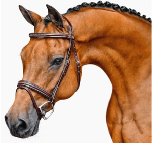 Bridon en cuir de cheval fait main de qualité supérieure avec rênes – Équipement équestre durable et confortable pour l'entraînement et l'équitation - Product Image 1