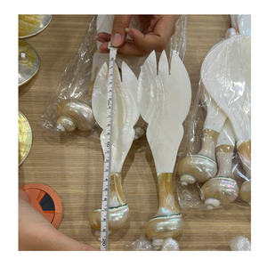 Cuillère artisanale en nacre avec manche en coquillage naturel, vaisselle de luxe pour dîner et servir - Product Image 1