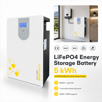 Batería de Almacenamiento de Energía Doméstica de 5kWh LiFePO4 con Sistema Dividido, Comunicación CAN, Montaje en Pared, Energía Solar de Respaldo para Uso Residencial