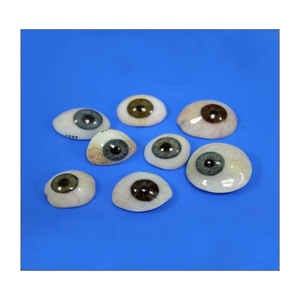 Prótesis Oculares Personalizadas, Ojos Artificiales de Múltiples Colores, No Estériles, Materiales Médicos de Clase I, Uso en Adultos - Product Image 1