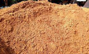 Moût de bière séché de haute qualité riche en protéines une solution rentable pour tous les modèles agricoles - Product Image 2