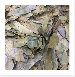 ทุเรียนเทศแห้งใบวัตถุดิบสมุนไพรธรรมชาติคุณภาพส่งออกระดับมืออาชีพสำหรับผู้ซื้อขายส่งทั่วโลกเท่านั้น - Product Image 1