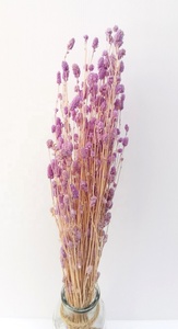 Flores Secas de Albahaca Naturales, Arreglo Floral Seco, Ramo de Flores, Flor Seca de Tailandia - Product Image 3