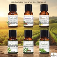 Minyak Esensial Oregano Distilasi Uap Minyak Botani Alami untuk Kosmetik Perawatan Pribadi Pembuatan Sabun Pewangi Pasokan Grosir