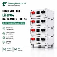 Batterie Rack 200 kWh Haute Tension LiFePO4 500-1000V Système de Stockage d'Énergie Domestique CAN RS485 BMS