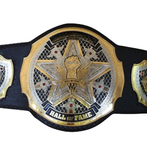 Cinturón de Campeonato del Salón de la Fama, Diseño Personalizable en Negro y Dorado, Título de Lucha Libre Premium, Artículo de Colección - Product Image 6