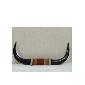Buffalo Horn Decor <b>Rustic</b> Style pair Shape Multipurpose Single-piece Package - Product Image 1