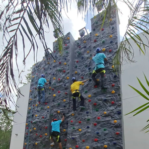 Pared de Escalada de Fibra de Vidrio 4x4 Única para Interiores/Exteriores, Parque de Aventuras KNT, Panel Modular de Escalada, Educativo para Niños y Guarderías - Product Image 1