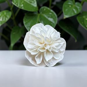 Flores de Madera Sola VADEE, Hechas a Mano, Sostenibles, Clásicas, Color Marfil, Dalia, 8.5 CM, Varilla de Fibra de Planta de Sesbania, Tailandia - Product Image 3