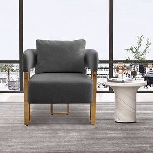 TS Modern Gold Metal Legs <b>Side</b> Chair Decorative Living Room Chair with No Wheels for Dressing Area or Reception Room - Product Image 1