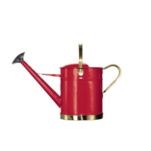 Arrosoir en métal de qualité supérieure, durable, avec long bec, élégant, pour l'arrosage des plantes d'intérieur et d'extérieur - Product Image 6