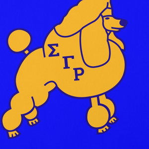 Sigma Gamma Rho Laptop Sleeve Protective Case Women Blue Gold Padded Laptop Cover Stylish Durable - Product Image 3