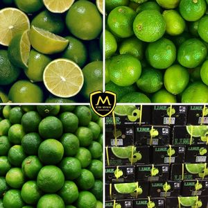 Citron vert frais d'origine vietnamienne pour commandes en gros - Product Image 6