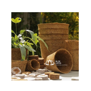 NUEVA Maceta Biodegradable de Fibra de Coco para Plántulas, Viveros y Venta al por Mayor - Product Image 1