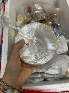 ถาดเปลือกหอยธรรมชาติลดราคาพิเศษ จานมุกขัดเงา จานใส่ไข่ปลาคาเวียร์ งานฝีมือสุดหรู ของขวัญสุดเก๋ ขายส่ง ส่งออก - Product Image 2