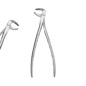 Fórceps de extracción Patrón americano Fig 74 Molares inferiores Alemán Alta calidad Starnderd Conjunto de instrumentos quirúrgicos dentales Pakistán - Product Image 1