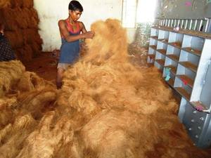 Fibres de coco naturelles biodégradables et écologiques, ignifuges, idéales pour l'agriculture, l'aménagement paysager et l'usage industriel. Exportateur INDIA. - Product Image 4