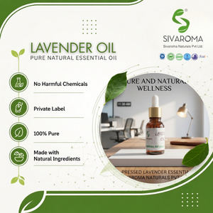 Huile essentielle de lavande naturelle pour les acheteurs B2B |   Huile aromatique à la lavande en gros pour parfums, soins de la peau, soins capillaires, savons, bougies - Product Image 3