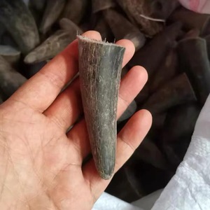 Cuerno de Búfalo Natural Ecológico con Punta Pulida, Diseño Rústico Moderno, Alta Calidad, Negro - Product Image 4