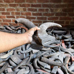 Puntas de Cuerno de Búfalo Natural Premium, Materia Prima para Artesanías al Mejor Precio - Product Image 6