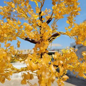 Natural Citrine 1000 Chips Eco-Friendly Shadow Carving Gemstone Tree <b>Crystal</b> Yellow for Home Decoration Wholesale - Product Image 2