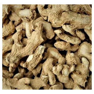 Jengibre natural seco, precio de exportación directo de fábrica para compradores internacionales, distribuidores de especias y compradores industriales - Product Image 4