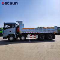 Secsun Nouveauté Chargeur-benne électrique grand format diesel 4x4 3t 5t 17 tonnes avec grue