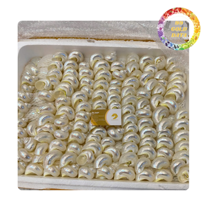 Anillos para Servilletas de Conchas Marinas al por Mayor |   Portaobjetos de Concha Natural Hecho a Mano en Vietnam para Hotel y Bodas - Product Image 1