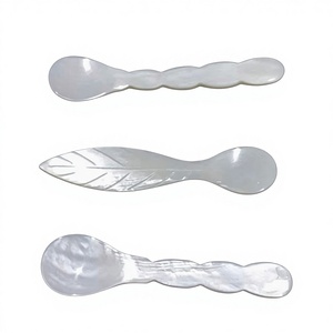 Luxury Silver Plated <b>Mirror</b> Polish Conch <b>Shell</b> Spoon with Long Handle for Caviar & Dessert Gourmet Use - Product Image 1