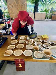 Ensemble de vaisselle en feuilles de palmier bio de haute qualité |   Assiettes jetables compatibles micro-ondes pour services de restauration haut de gamme - Product Image 2