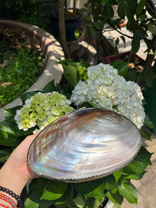 Vintage Seashell Brass Jewelry Box <b>Abalone</b> <b>Shell</b> Trinket Storage, Bronze Jewelry Organizer Ancient-Style Home Decor Seashell Box - Product Image 4