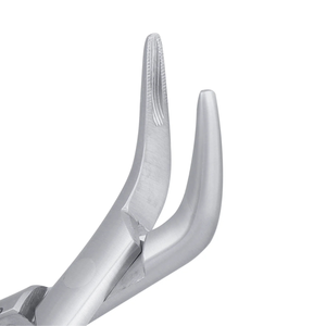 Forceps d'extraction dentaire à dents sécantes 301 pour racines inférieures, en acier inoxydable, instrument chirurgical pour l'élimination des racines, outil de forceps dentaire - Product Image 6