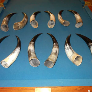 Par de Cuernos de Búfalo Pulidos para Decoración de Pared, Diseño Art Deco, Grandes de 27 a 35 Pulgadas, para Bodas, Cumpleaños, Aniversarios - Product Image 1