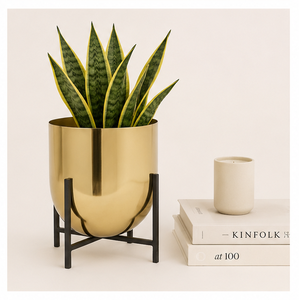 Pot de fleurs en métal doré avec support noir, pot de fleurs d'intérieur pour le salon et la décoration du balcon, porte-plantes décoratif de haute qualité - Product Image 5