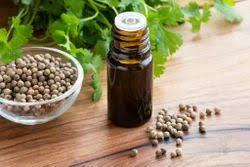 น้ำมันผักชี |   ผักชีลาว (Coriandrum sativum) - Product Image 3