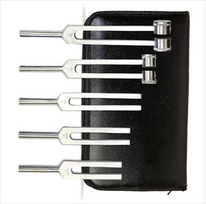 สินค้ามาใหม่ ชุดส้อมเสียง 5 ชิ้น พร้อมไม้ตียาง C128 ถึง C2048 อลูมิเนียมเกรดทางการแพทย์ คุณภาพสูง - Product Image 5