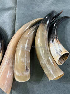 ฮอร์นดื่มไวกิ้งพร้อมขอบทองเหลืองกำหนดโลโก้เองเป็นมิตรต่อสิ่งแวดล้อมไวกิ้งฮอร์นดื่มไวกิ้งทำจากหัตถกรรม tayyab - Product Image 2