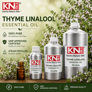 Huile Essentielle de Thym Linalol 100% Pure de Qualité Supérieure, Certifiée Biologique, Thymus vulgaris ct linalool, Fabricant en Gros, Exportateur Mondial - Product Image 3
