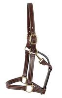 Harnais en cuir de qualité supérieure, élégant et raffiné pour chevaux, de Divine International