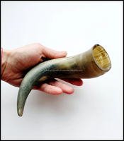 Cornes de buffle/vache européennes brutes, polies et sculptées, en ivoire, thème marin, écologiques, taille personnalisée, pour décoration de la maison, vin et boissons