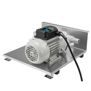 Kit de pompe de transfert DEF 110V, capacité 8 GPM, pompe à eau électrique auto-amorçante à diaphragme pour fluide d'échappement diesel et urée, avec fixation - Product Image 1