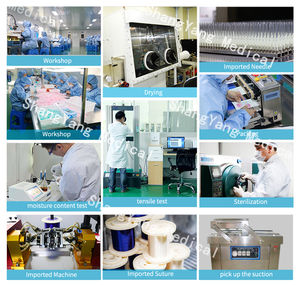 T Crème <span class=keywords><strong>Cosmelan</strong></span> <span class=keywords><strong>2</strong></span> pour soins à domicile 30ml Anti Taches de rousseur Soins de beauté - Product Image 5