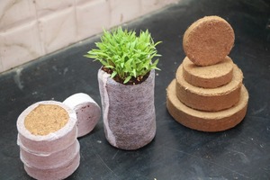 Disques de coco coir de qualité export en gros pour le développement précoce des plantes, la germination des graines et la réduction de la consommation d'espace - Product Image 5