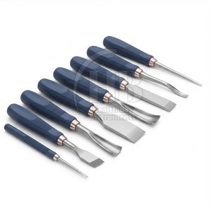 Ensemble de ciseaux à os chirurgicaux manuels en acier inoxydable, instruments orthopédiques, outils de précision pour la coupe et le façonnage des os, opération médicale - Product Image 3