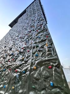 Fabricante de Equipos para Muros de Escalada para Parques de Aventura, Estructura de Muro de Escalada Resistente para Exteriores, Diseño Personalizado de Muros de Escalada - Product Image 5