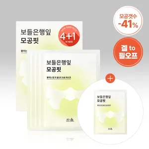 HANYUL High Quality Gingko Leaf Pore Fit Facial Mask Sheet Set 4ea + 1ea Bonus - Product Image 1