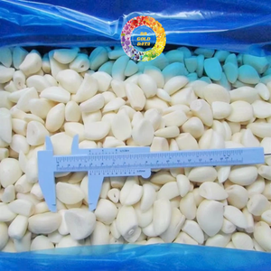 Ajo Congelado Pelado IQF 1kg, Empaque a Granel, Grado de Exportación, Origen Vietnam, 99 GOLD DATA - Product Image 6