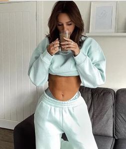 Casual <b>Matching</b> <b>Set</b> <b>Jogger</b> <b>Set</b> Women Two Piece Outfit Clothing Oversized Zip up <b>Set</b> Loose Women Windbreaker Tracksuit - Product Image 3